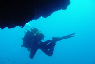  Diving in Gargano 